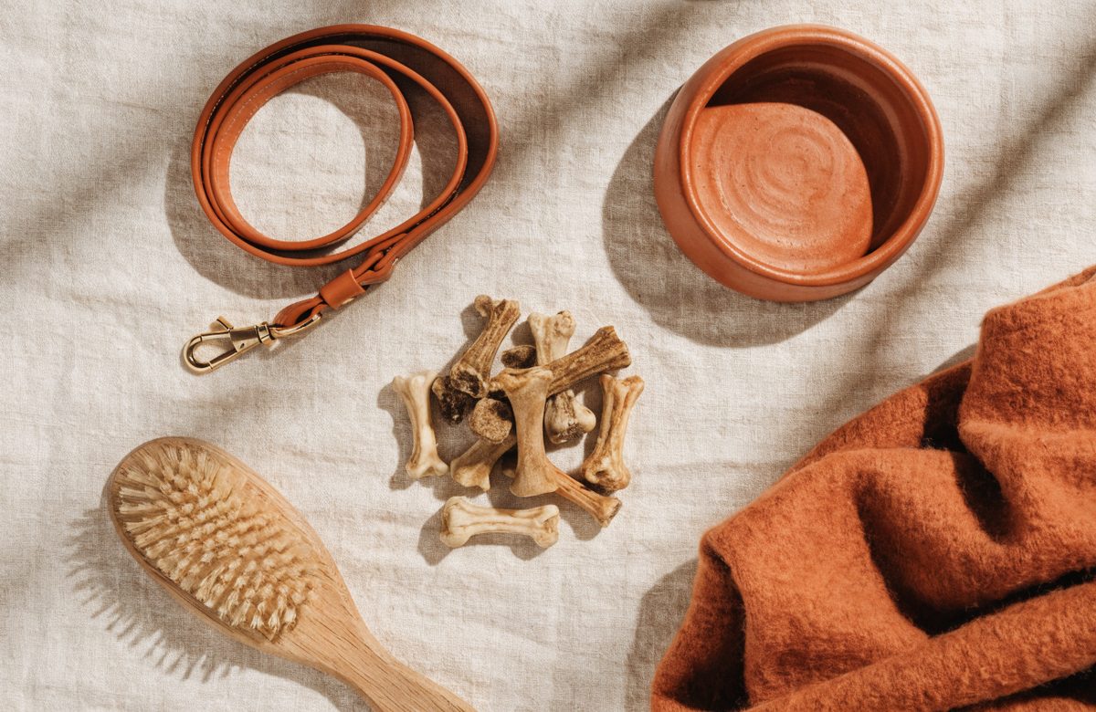Flatlay mit Hundeleine, Napf, Naturkau-Snacks und Fellbuerste auf cremefarbenem Leinen in Creme- und Terracottatoenen, ohne Menschen