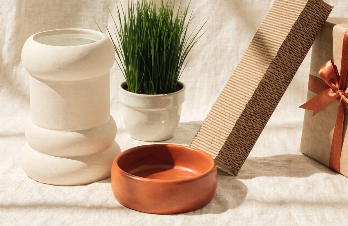 Stillleben mit Keramik-Trinkbrunnen, Katzengras im Topf, Terracotta-Napf, Kratzbrett aus Wellpappe und eingepacktem Geschenk auf hellem Leinen